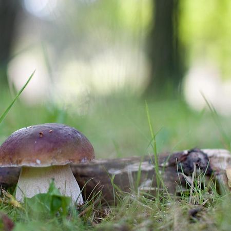 Rodinny Penzion U Wolfu Chrastava Eksteriør bilde